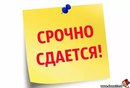 Объявление от Ирина - фото №1