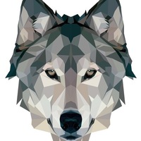 Александр Косович