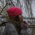 Фото пользователя Дарья