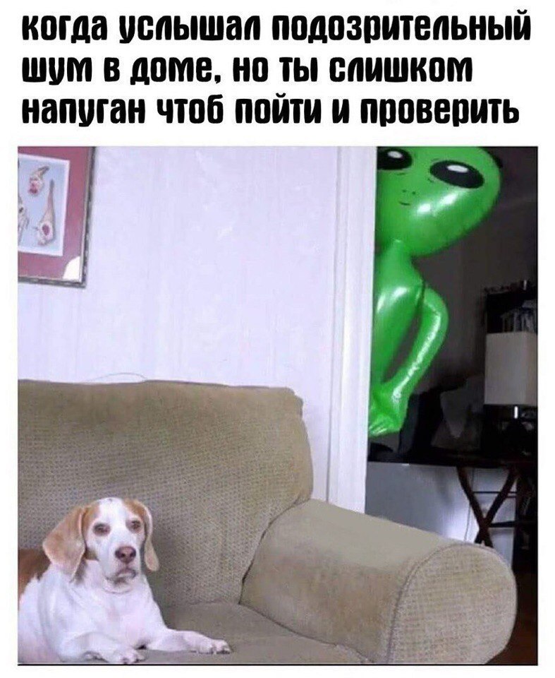 rY1cQXOhikM.jpg