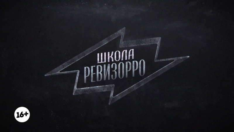 Школьный ревизорро. Ревизорро логотип. Ревизорро наклейка. Проверено Ревизорро