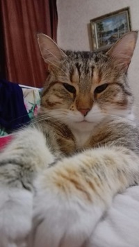 Лидия Кутузова