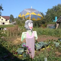 Вера Лобанова | 