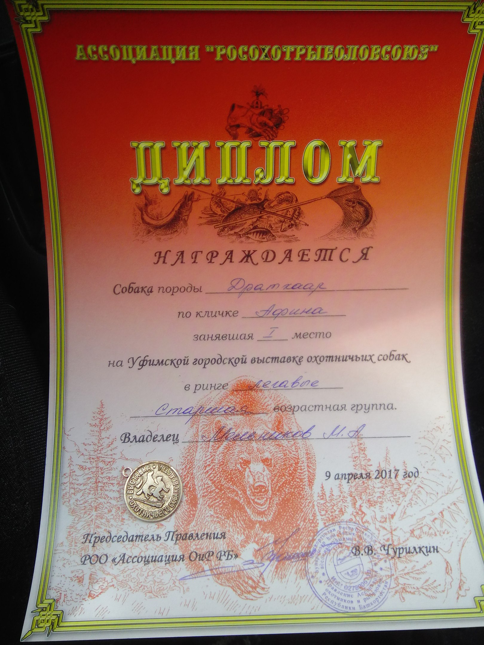 Изображение