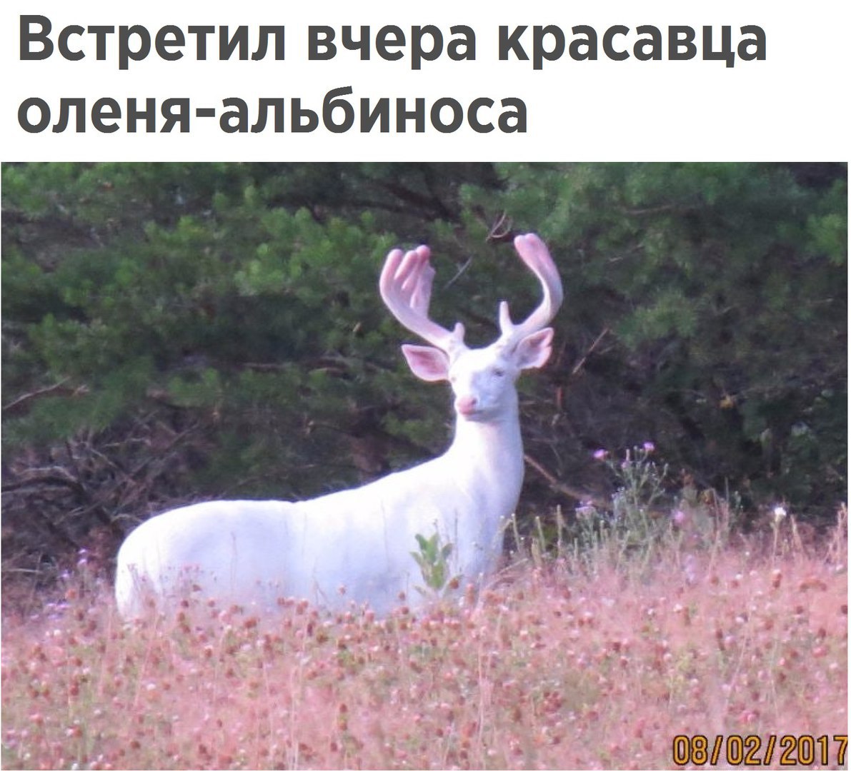 https://pp.userapi.com/c836538/v836538769/6dbaf/51T1Q5l7cmg.jpg
