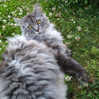 Светлана Галаева(андрушевич)