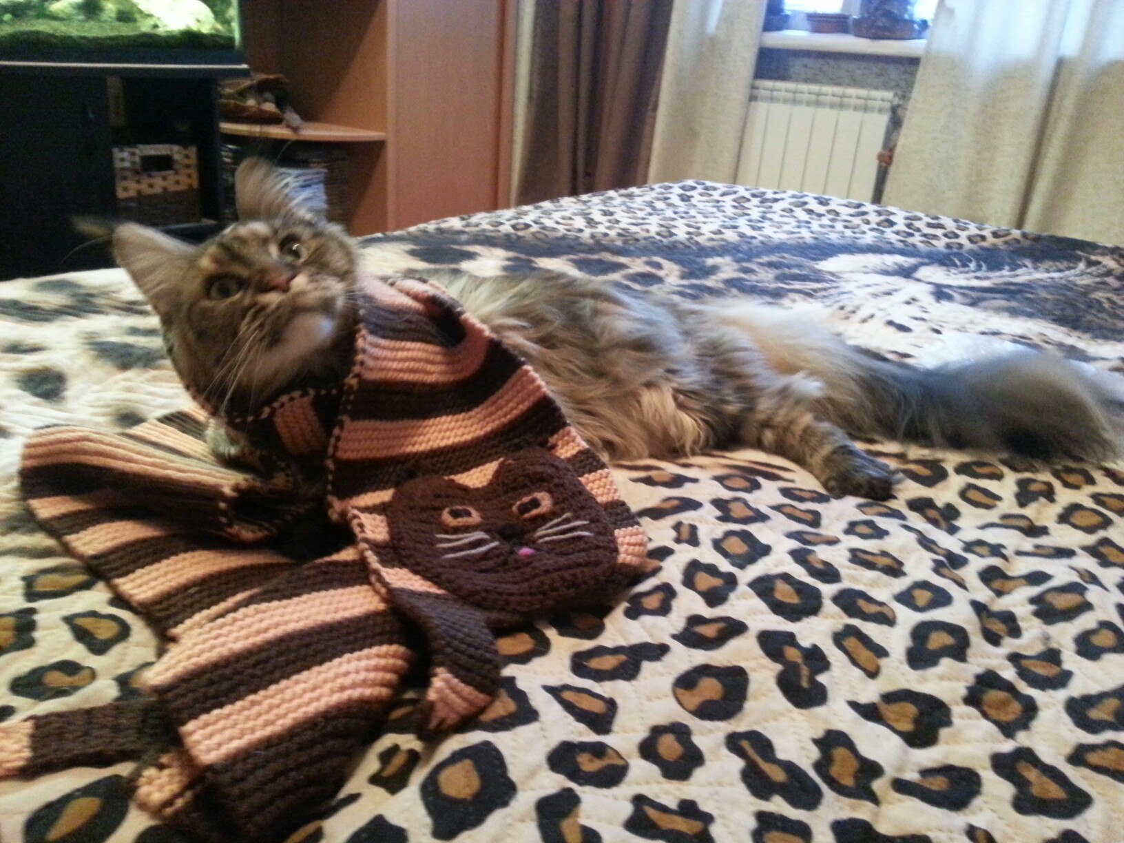 Добрый волшебник Викус 