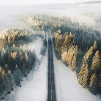 Роман Вершинин