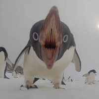 Александр Сергеевич