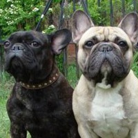 Ваня Линьков | Ковров