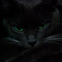 Василиса Рыбкина | 