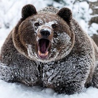 Денис Малютин | 