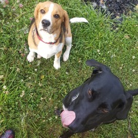 Юлия Захарова-Гапонова