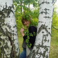 Елена Кораблина | 