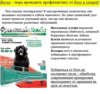 Запорожские новости розовский район