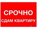 Объявление от Ксения - фото №1