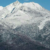 Алай Оли