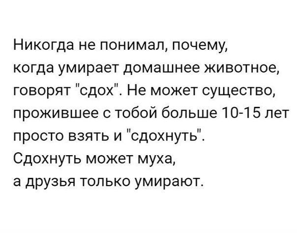 Действительно