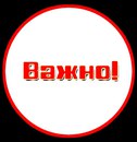 Объявление от Светлана - фото №1