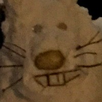 Хом Тартаруга