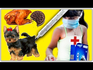 ИГРАЕМ В ДОКТОРА ЛЕЧИМ СОБАКУ ГРАДУСНИК В ПОПУ? ПЕЧЕНЬЕ ОРЕО С МЯСОМ?КЛИЗМА,УКОЛЫ,йорк Маша заболела