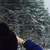 Фото пользователя Виктория