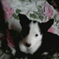 Галина Рудакова