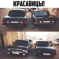 Вячеслав Гаврилов | Томск