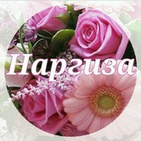 Блестяшка, наргиз картинки с надписями
