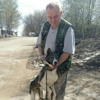 Андрей Вавуло