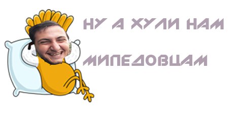 rA8riS6sFm4.jpg