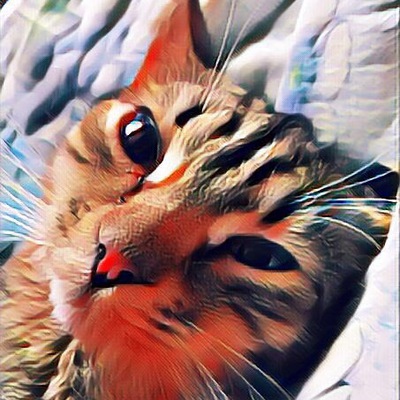 Felmax_