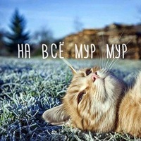 Ирина Иришкина