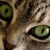Фото пользователя Ольга