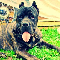 Сергей Смирнов