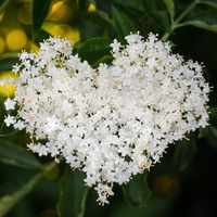 Екатерина Башагурова