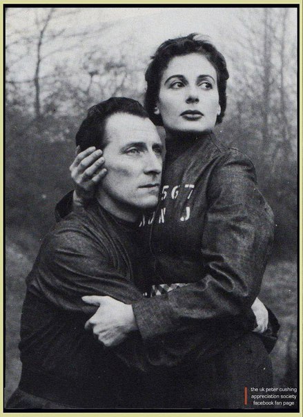 an evaluation of winstons love for julia in george orwells story 1984 Connotation behind the symbolic paperweight conclusion character overview winston smith julia mrcharrington o'brien big brother 1984 by george orwell. an evaluation of winstons love for julia in george orwells story 1984 Connotation behind the symbolic paperweight conclusion character overview winston smith julia mrcharrington o'brien big brother 1984 by george orwell.