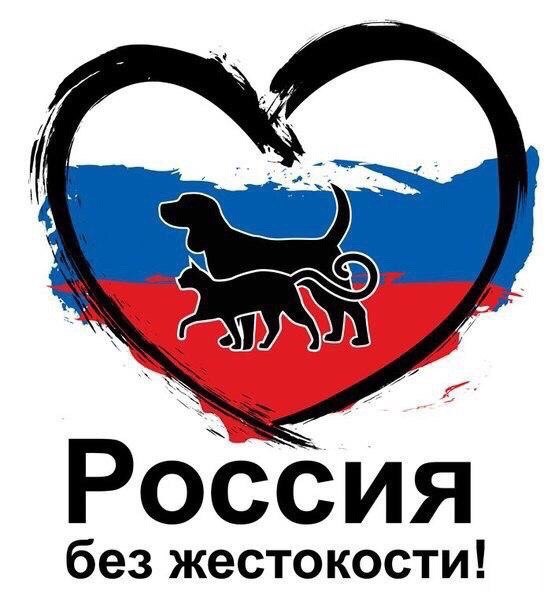 Афиша Тула МЫ ТРЕБУЕМ ЗАКОН!