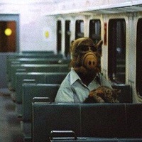 Евгений Гришин