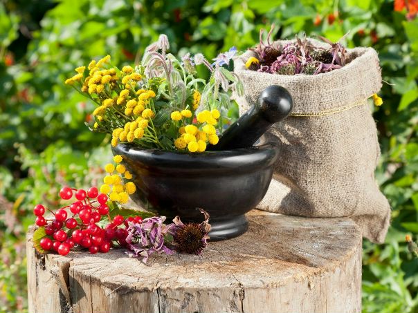 О пользе некоторых сушеных продуктов. На заметку! 