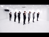 BTS - 피 땀 눈물 (Blood Sweat & Tears) Dance Practice