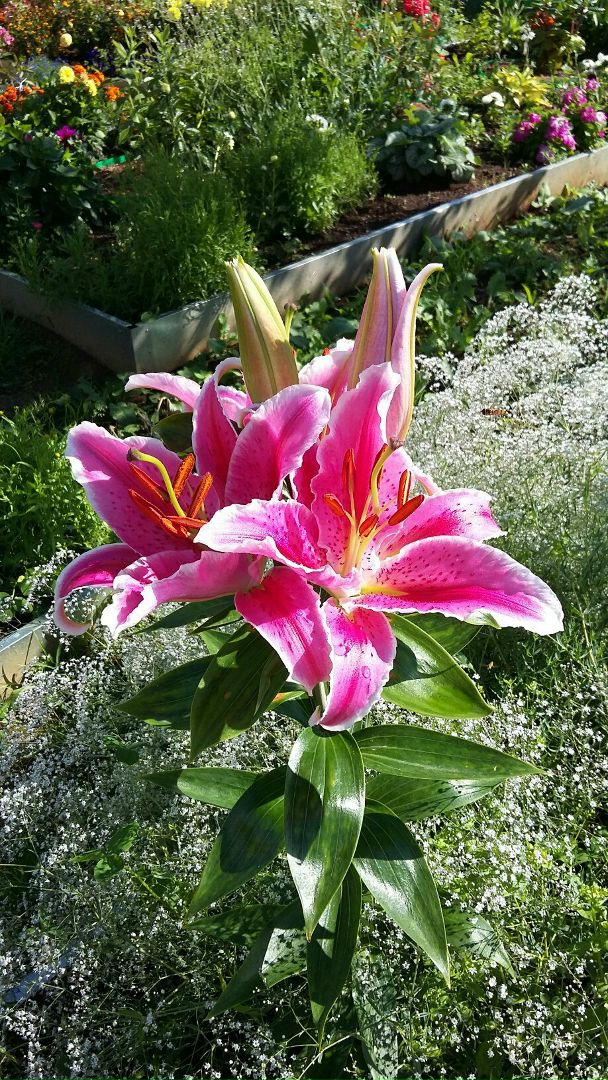 фотография из вКонтакта