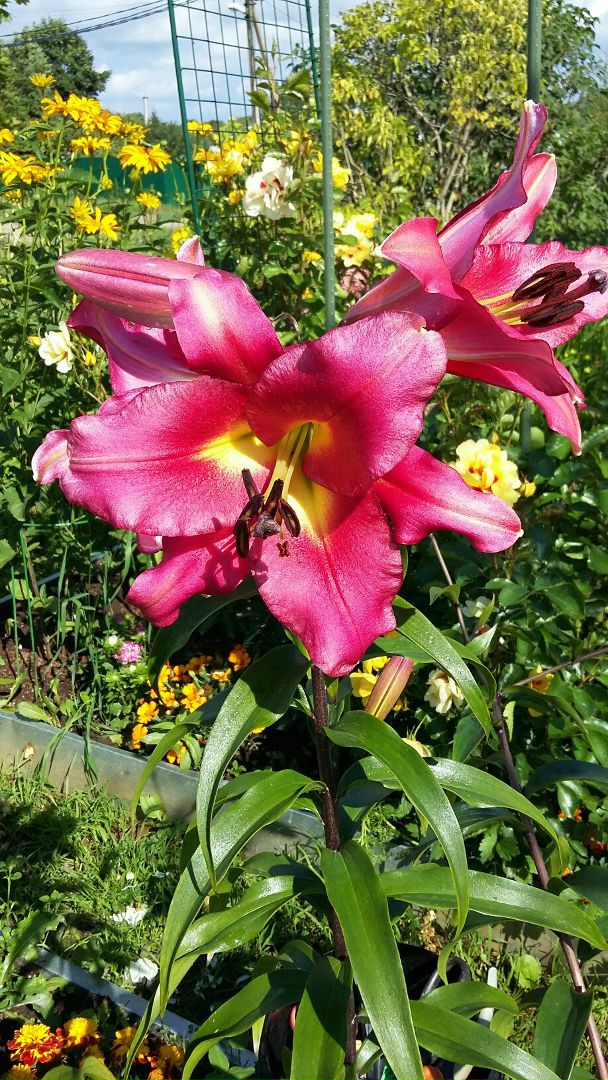 фотография из вКонтакта