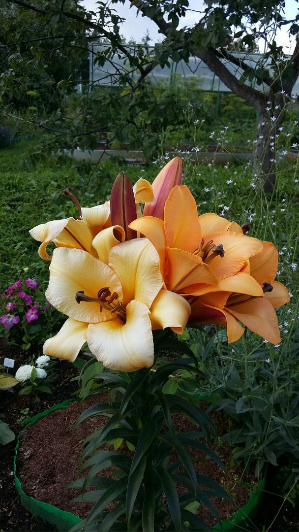 фотография из вКонтакта