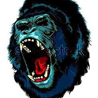 Алексей Шустров | 