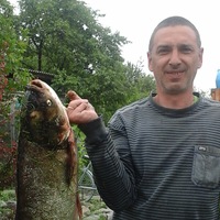 Сергей Литовченко