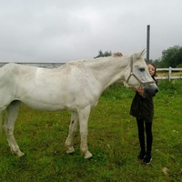 Алиса Никитина