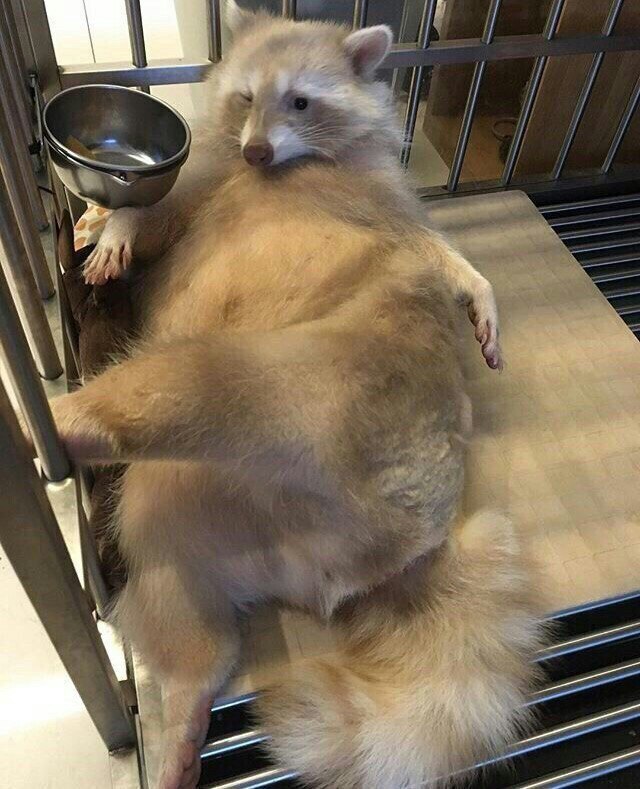 0h10elXabVA.jpg