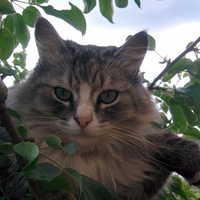 Сергей Еремеев