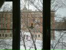 Объявление от Алёнка - фото №1